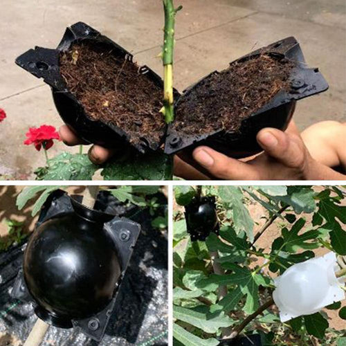 Kit Caixas de Enraizamento para Clonagem de Plantas